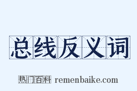 总线反义词是什么意思的图片